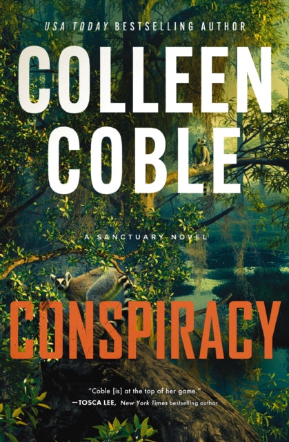 Conspiracy : A small-town, second-chance romantic suspense - Colleen Coble