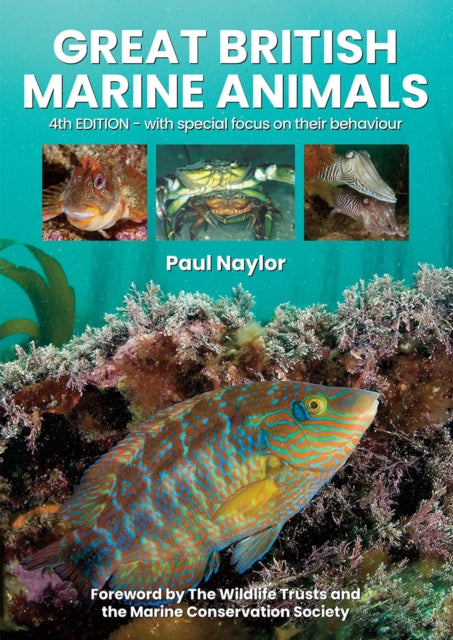 Front cover of Great British Marine Animals by Paul Naylor, paperback
