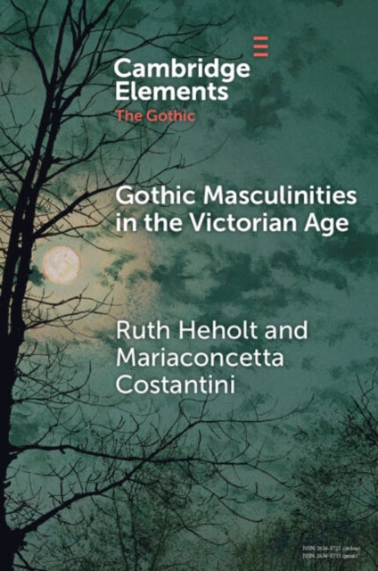 Gothic Masculinities in the Victorian Age - Ruth Heholt