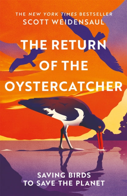 The Return of the Oystercatcher : Saving Birds to Save the Planet - Scott Weidensaul