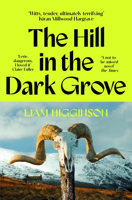 The Hill in the Dark Grove - Liam Higginson