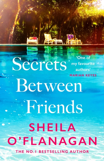 Secrets Between Friends : `A warm, sensitive story about the power of female friendship . . . and the joy of second chances' Lucy Diamond - Grainne Gillis