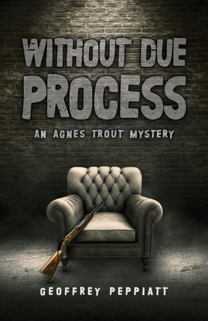 Without Due Process : An Agnes Trout Mystery - Geoffrey Peppiatt