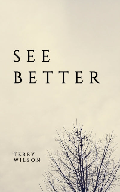See Better - Terry Wilson