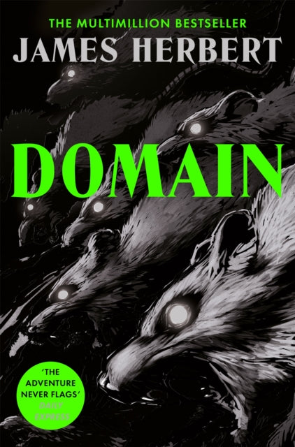 Domain - James Herbert