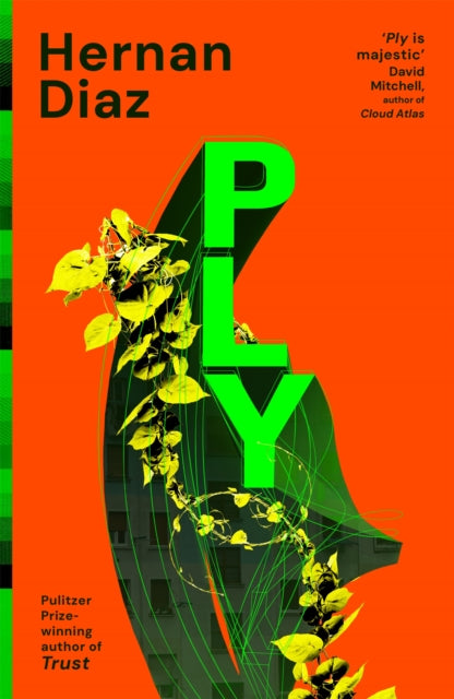 Ply - Hernan Diaz