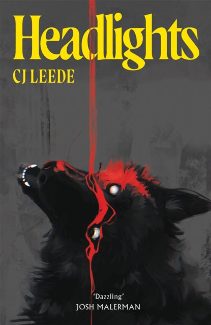 Headlights - CJ Leede