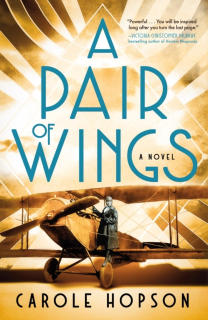 A Pair of Wings : A Novel