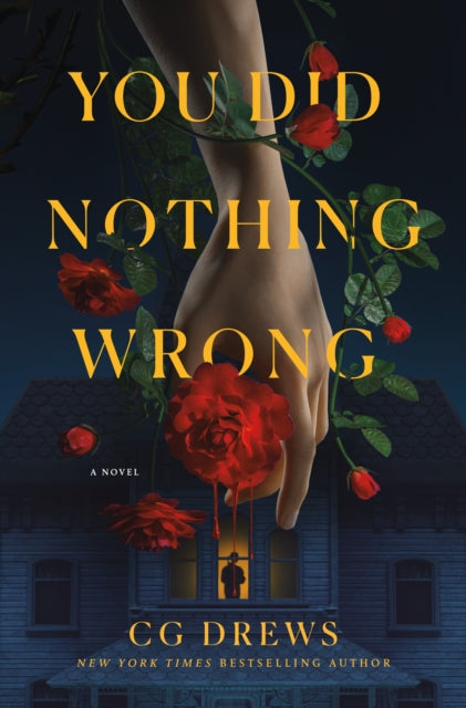 You Did Nothing Wrong : A Novel - CG Drews