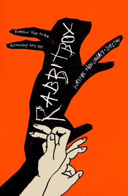 Front cover of Rabbitbox - Wayne Holloway-Smith, paperback