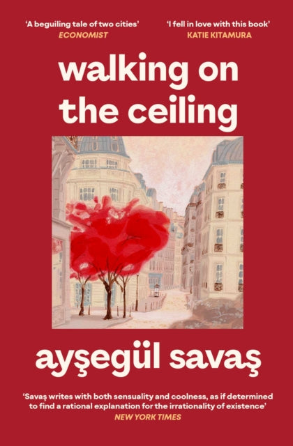 Walking on the Ceiling - Aysegul Savas