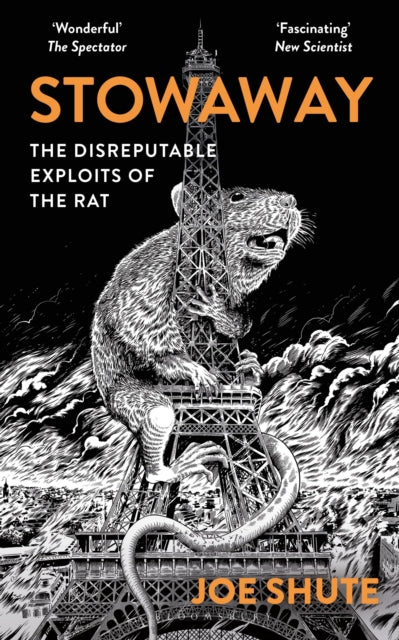 Front cover of Stowaway by Joe Shute, paperback