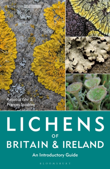 Lichens of Britain and Ireland : An Introductory Guide - Dr Rebecca Yahr