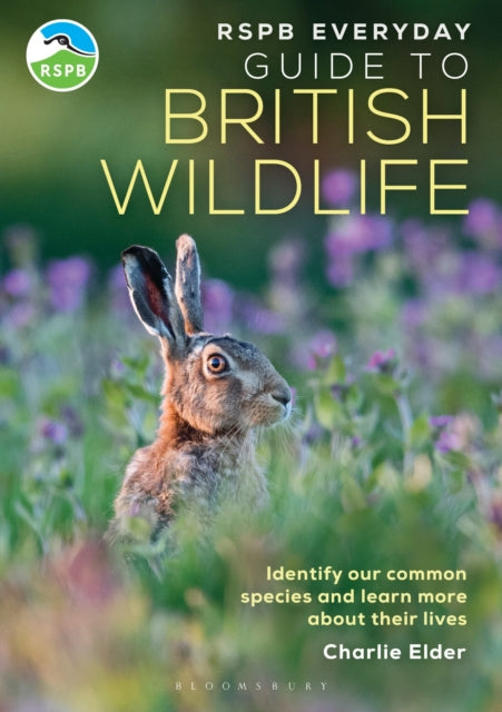 RSPB Everyday Guide to British Wildlife : Identify our common species and learn more about their lives - Charlie Elder
