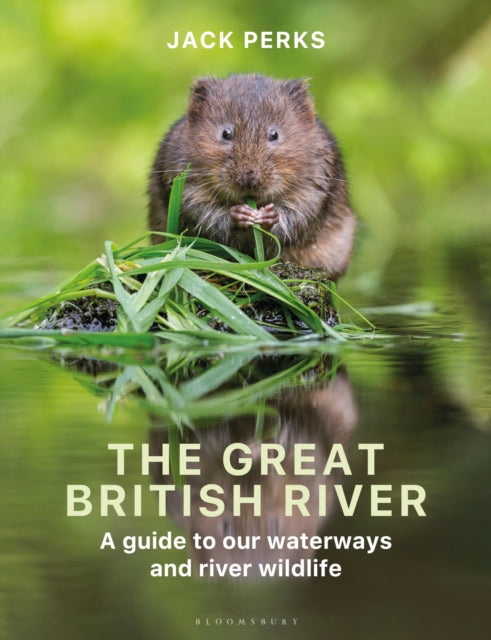 Front cover of The Great British River by Jack Perks, paperback
