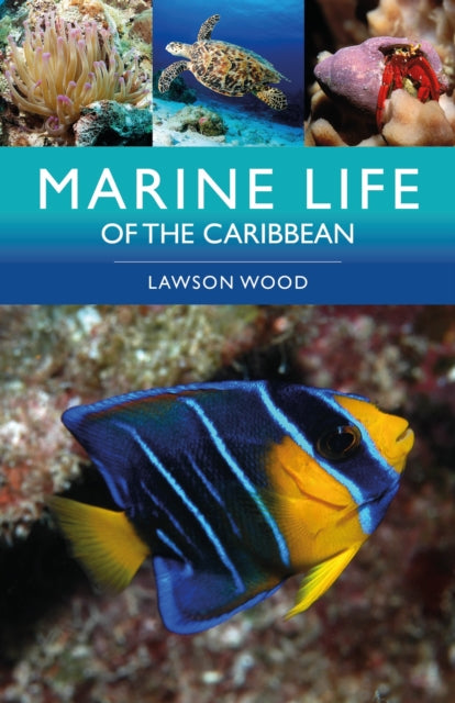 Marine Life of the Caribbean - Lawson Wood
