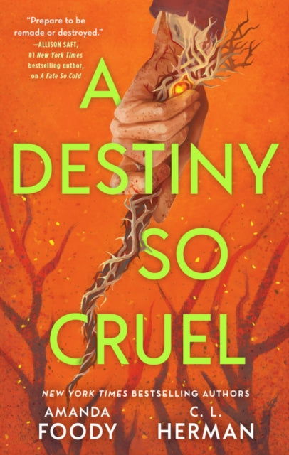 A Destiny So Cruel : From the NYT Bestselling Authors of ALL OF US VILLAINS - Amanda Foody