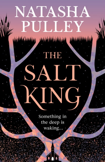 The Salt King : An end of the world thriller, packed with dazzling wit and romance - Natasha Pulley