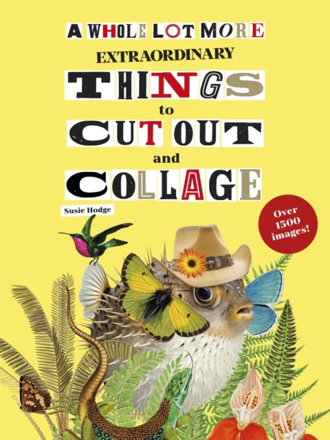 A Whole Lot More Extraordinary Things to Cut Out and Collage - Susie Hodge