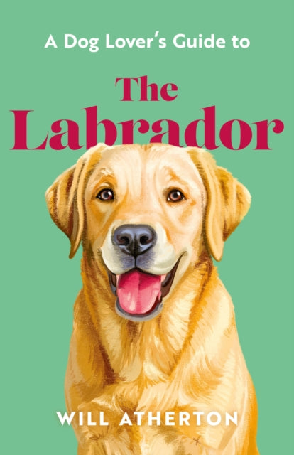 The Labrador - Will Atherton