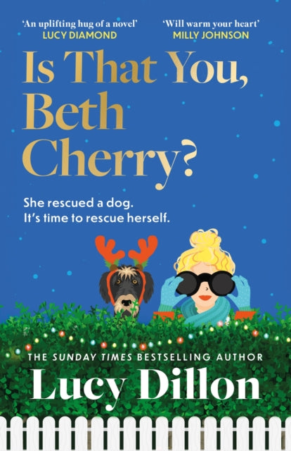 Is That You, Beth Cherry? : the warm and witty new novel from the author of Irresponsible Adult - Lucy Dillon
