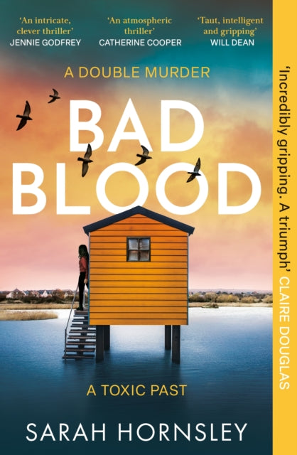 Bad Blood : PRE-ORDER NOW: the new gripping thriller from Sarah Hornsley, ONE DARK SUMMER - Sarah Hornsley