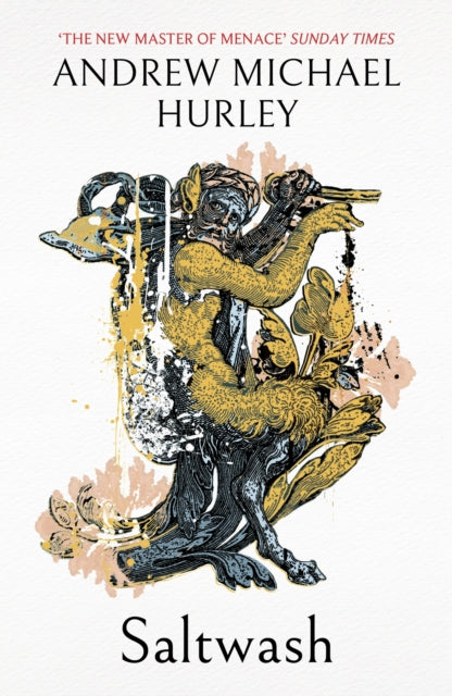 Saltwash : The chilling new novel from the 'master of menace' - Andrew Michael Hurley