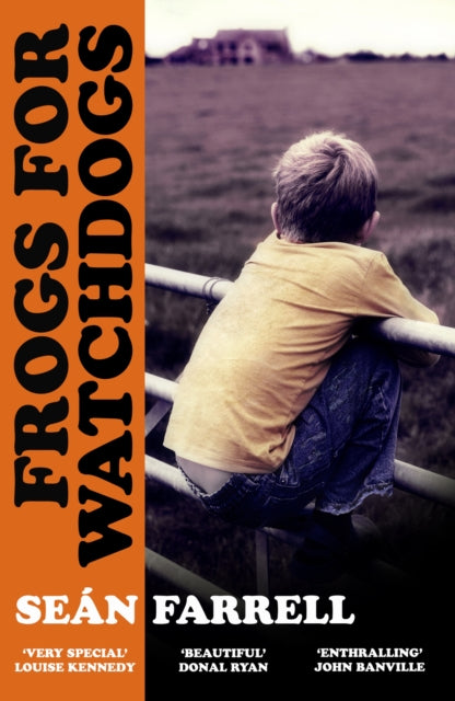 Frogs for Watchdogs : 'A stunning novel that will live long in my imagination' DONAL RYAN
