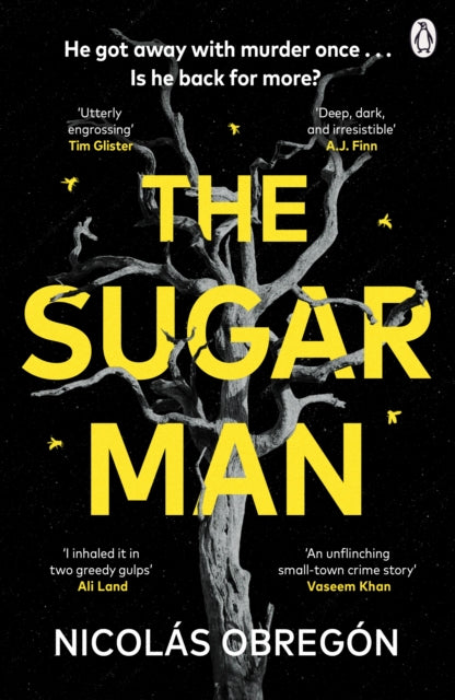 Front cover of The Sugar Man by Nicolas Obregon, paperback