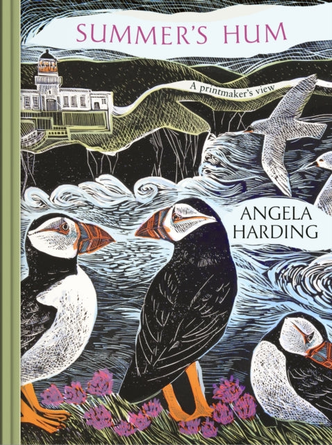 Front cover of Summer's Hum by Angela Harding, hardback