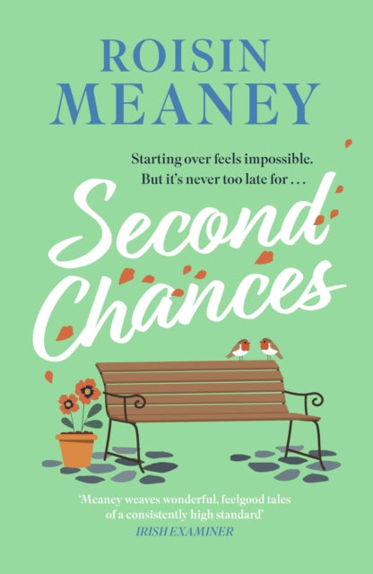 Second Chances : from the Irish bestseller comes a brand-new uplifting and escapist novel to make you laugh and cry - Roisin Meaney