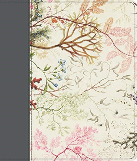 ESV Journaling Bible -