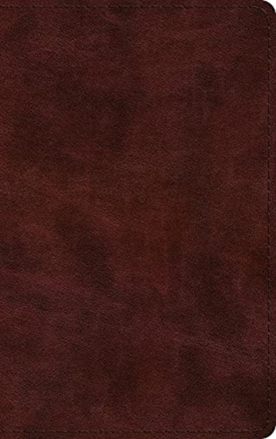 ESV Large Print Thinline Bible -