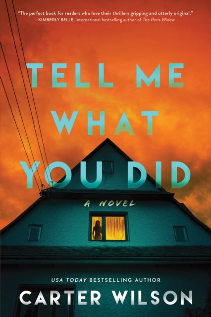 Tell Me What You Did : A Novel - Carter Wilson