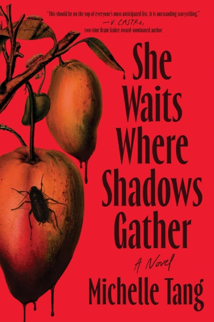 She Waits Where Shadows Gather : A Novel - Michelle Tang