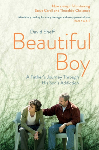 Beautiful Boy : A Father's Journey Through His Son's Addiction - David Sheff