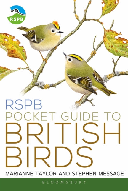 Front cover of RSPB Pocket Guide to British Birds by Stephen Message, paperback
