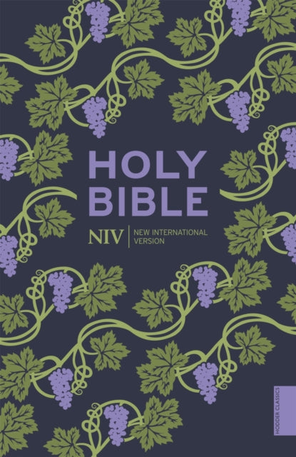 Front cover of NIV Holy Bible by New International Version, paperback