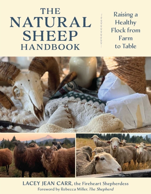 The Natural Sheep Handbook : Raising a Healthy Flock from Farm to Table - Lacey Jean Carr