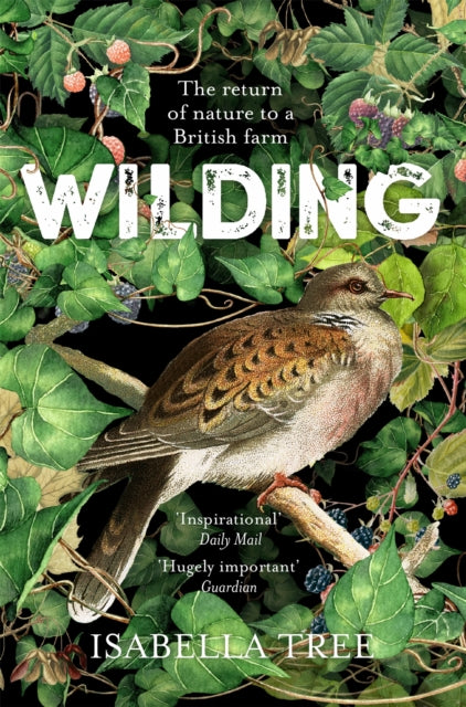 Front cover of Wilding by Isabella Tree, paperback