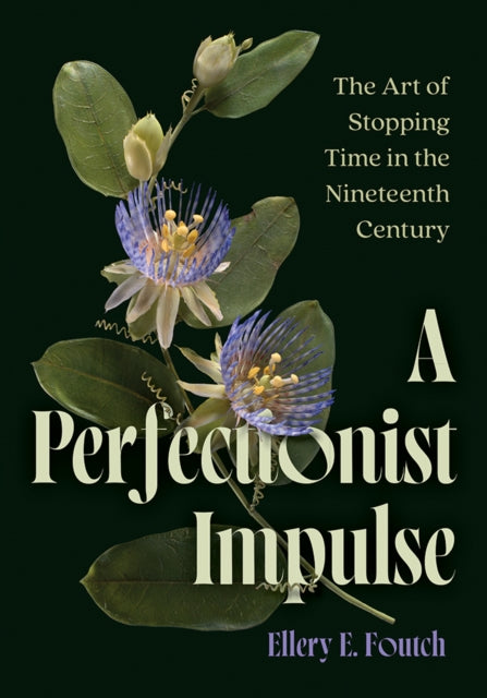 A Perfectionist Impulse : The Art of Stopping Time in the Nineteenth Century - Ellery E. Foutch