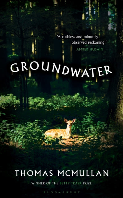 Groundwater : ‘Complex, chilling, masterful' Financial Times
