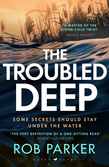 The Troubled Deep : 'The most brilliant Norfolk-set thriller since Elly Griffiths' Ruth Galloway books' Daily Mirror