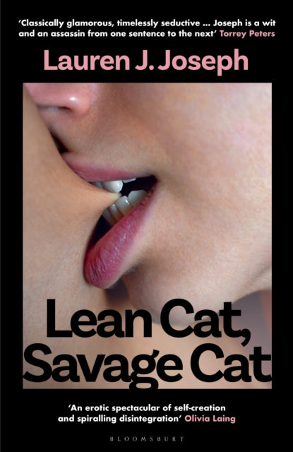 Front cover of Lean Cat, Savage Cat by Lauren J. Joseph, hardback