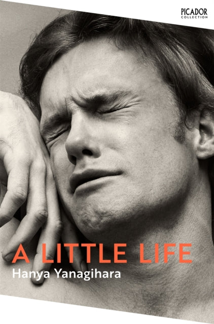 Front cover of A Little Life by Hanya Yanagihara, paperback