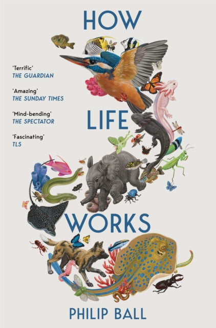 How Life Works : A User's Guide to the New Biology - Philip Ball