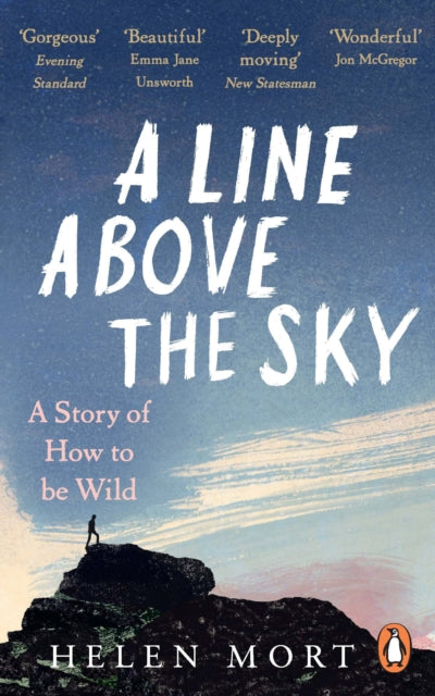 A Line Above the Sky : On Mountains and Motherhood - Helen Mort