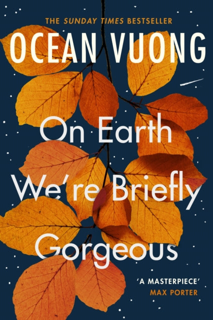 Front cover of On Earth We're Briefly Gorgeous by Ocean Vuong, paperback