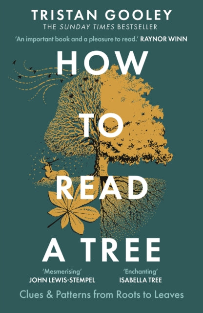 Front cover of How to Read a Tree by Tristan Gooley, paperback