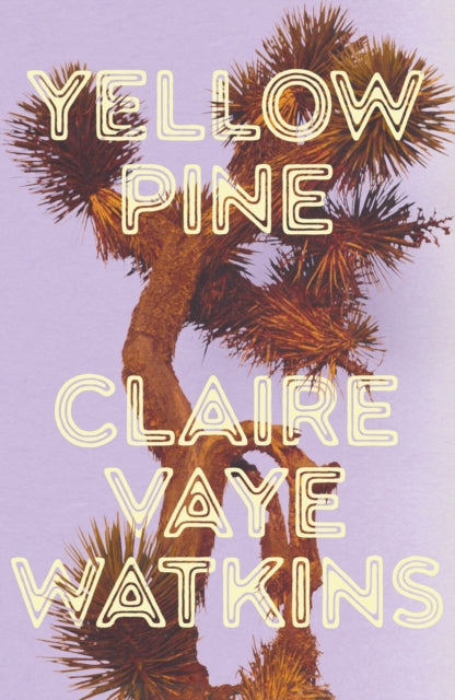 Front cover of Yellow Pine by Claire Vaye Watkins, hardback
